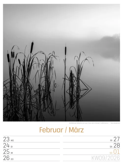 Ackermann Kunstverlag Wochenkalender*Silent Nature Wochenplaner Kalender 2026