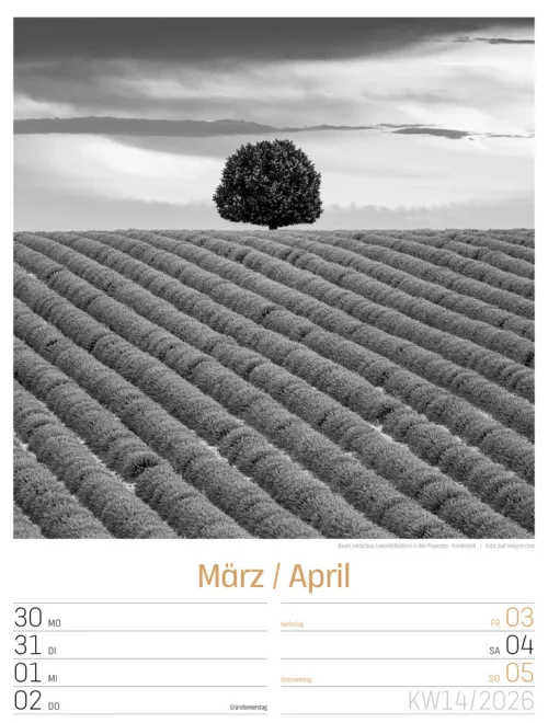 Ackermann Kunstverlag Wochenkalender*Silent Nature Wochenplaner Kalender 2026