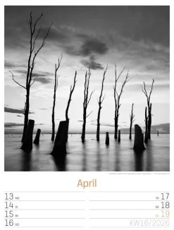 Ackermann Kunstverlag Wochenkalender*Silent Nature Wochenplaner Kalender 2026