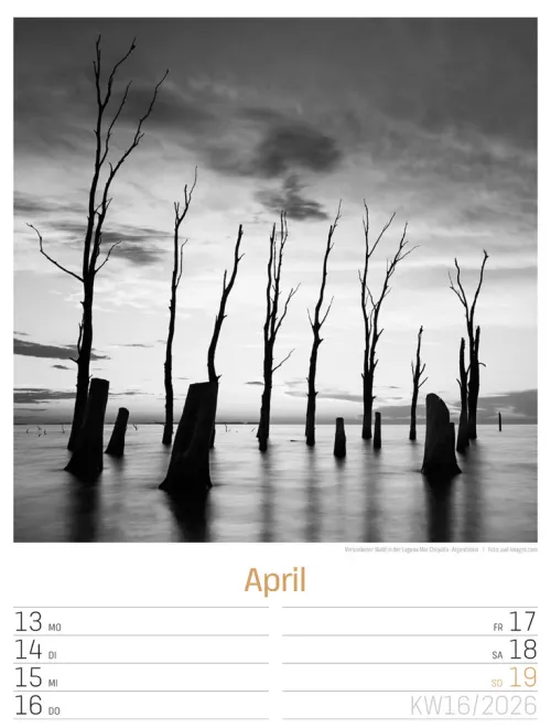 Ackermann Kunstverlag Wochenkalender*Silent Nature Wochenplaner Kalender 2026