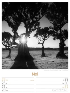 Ackermann Kunstverlag Wochenkalender*Silent Nature Wochenplaner Kalender 2026