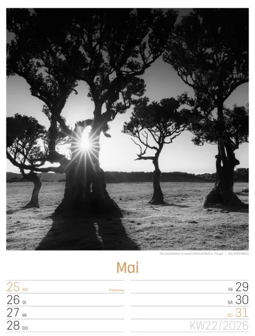 Ackermann Kunstverlag Wochenkalender*Silent Nature Wochenplaner Kalender 2026