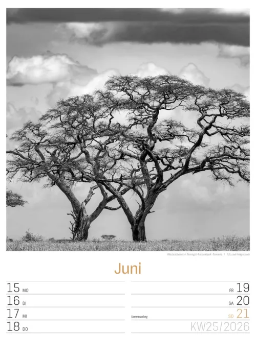 Ackermann Kunstverlag Wochenkalender*Silent Nature Wochenplaner Kalender 2026