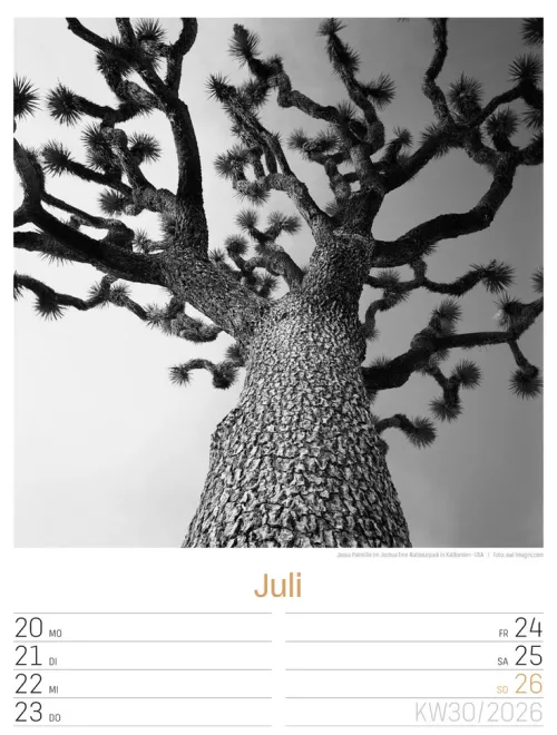 Ackermann Kunstverlag Wochenkalender*Silent Nature Wochenplaner Kalender 2026