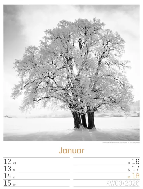 Ackermann Kunstverlag Wochenkalender*Silent Nature Wochenplaner Kalender 2026