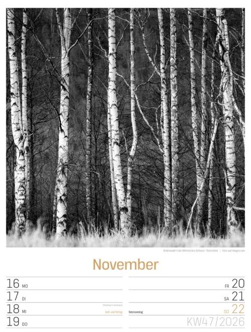 Ackermann Kunstverlag Wochenkalender*Silent Nature Wochenplaner Kalender 2026