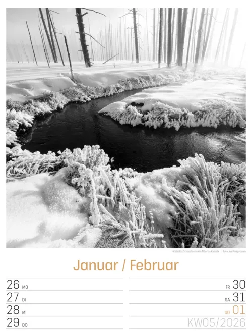 Ackermann Kunstverlag Wochenkalender*Silent Nature Wochenplaner Kalender 2026