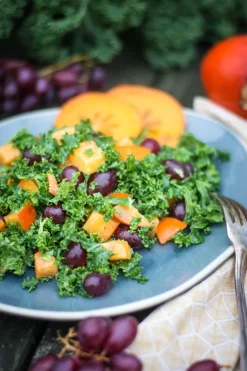 Simply Vegan, Einfach saisonal Kochen*NOVA MD New