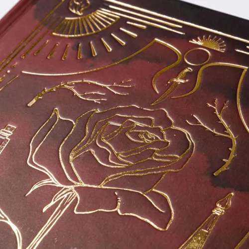 Six Scorched Roses (Crowns of Nyaxia)*Carlsen Verlag GmbH Best