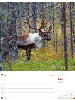 Ackermann Kunstverlag Wochenkalender-Skandinavien Wochenplaner Kalender 2026 | Der Zauber des hohen Nordens