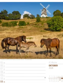 Ackermann Kunstverlag Wochenkalender-Skandinavien Wochenplaner Kalender 2026 | Der Zauber des hohen Nordens