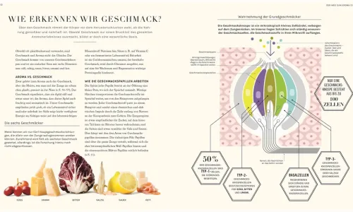 Dorling Kindersley Verlag Vegan*So funktioniert Geschmack