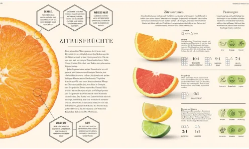 Dorling Kindersley Verlag Vegan*So funktioniert Geschmack