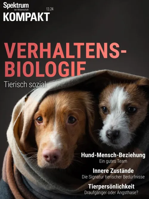 Spektrum der Wissenschaft Naturwissenschaften & Technik-Spektrum Kompakt - Verhaltensbiologie