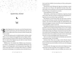 FISCHER Sauerländer Young Adult|Liebesromane*Spiel des Lügners