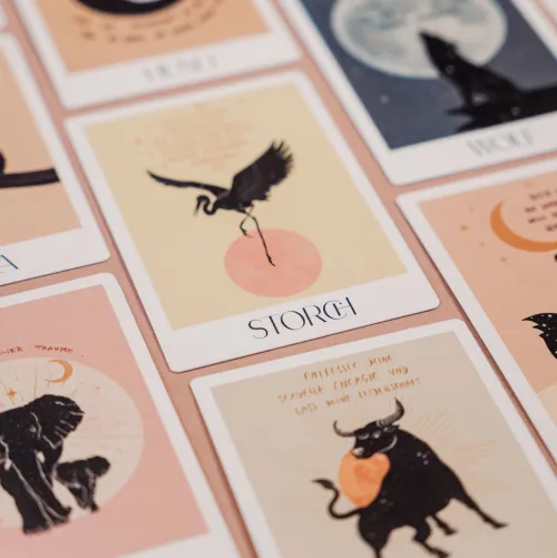 Malia Verlag GmbH Spiritualität-Spirituelle Botschaften von deinem Animal Spirit