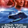 Star Trek - Voyager 10*Cross Cult Sale