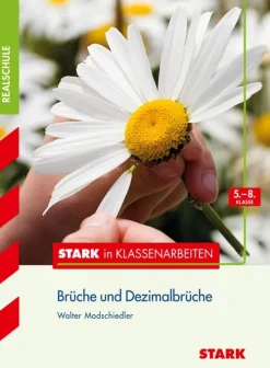 Stark Verlag GmbH Mittlere Reife·Mathematik*Stark in Klassenarbeiten - Mathematik Brüche und Dezimalbrüche 5.-8. Klasse Realschule
