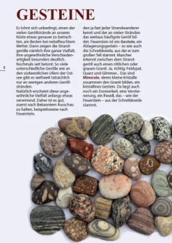 Demmler Verlag GmbH Geowissenschaft-Steine am Ostseestrand