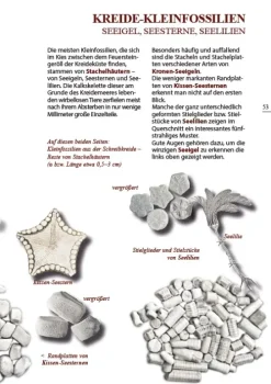 Demmler Verlag GmbH Geowissenschaft-Steine am Ostseestrand