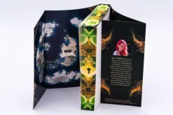 Knaur Taschenbuch High Fantasy-Steingladiole. Erde vergisst nie