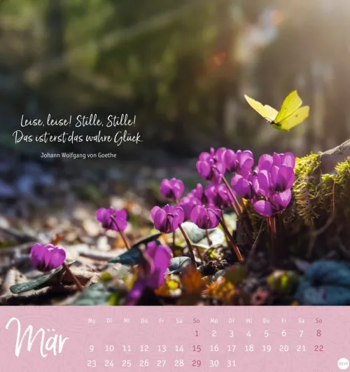 Heye Postkartenkalender*Stille Momente Postkartenkalender 2026