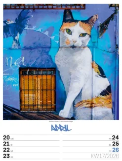 Ackermann Kunstverlag Wochenkalender-Street Art Wochenplaner Kalender 2026
