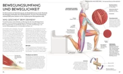 Dorling Kindersley Verlag Gesundheit-Stretching - Die Anatomie verstehen