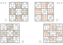 Naumann & Göbel Verlagsg. Nachhaltigkeit-Sudoku Buch
