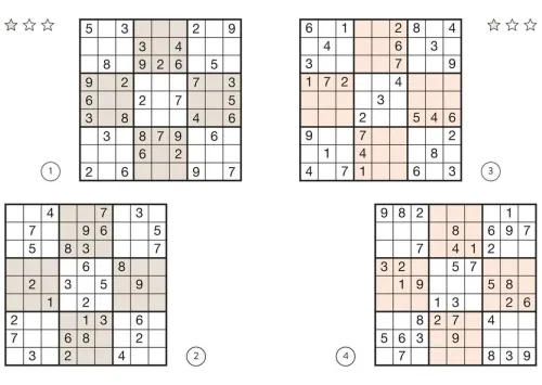 Naumann & Göbel Verlagsg. Nachhaltigkeit-Sudoku Buch