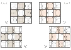 Naumann & Göbel Verlagsg. Nachhaltigkeit-Sudoku Buch