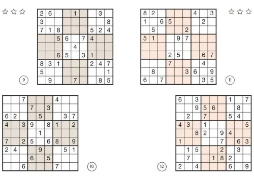 Naumann & Göbel Verlagsg. Nachhaltigkeit-Sudoku Buch