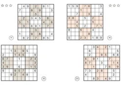 Naumann & Göbel Verlagsg. Nachhaltigkeit-Sudoku Buch