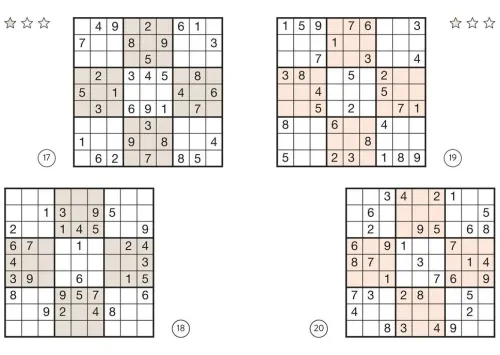 Naumann & Göbel Verlagsg. Nachhaltigkeit-Sudoku Buch