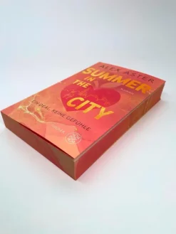 FISCHER Taschenbuch Die Reichen, Berühmten Und Mächtigen-Summer in the City