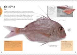 Dorling Kindersley Verlag Vollwertküche*Sushi