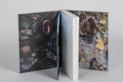 Suedwest Verlag Grillparty & Picknick*Süßwasserfisch