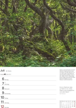 Harenberg Wochenkalender|Terminkalender-Sylt Wochenplaner 2026 - Eine Reise in 53 Bildern