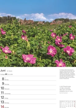 Harenberg Wochenkalender|Terminkalender-Sylt Wochenplaner 2026 - Eine Reise in 53 Bildern