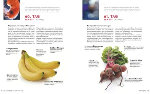 Graefe und Unzer Verlag Ratgeber|Gesundheit*Tag für Tag durch meine Schwangerschaft