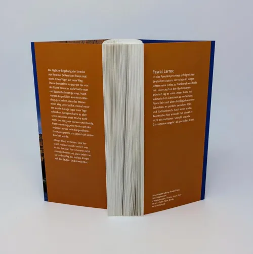 Ullstein extra Polizeiarbeit & Forensik|Privatdetektive*Tödliches Carcassonne