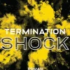 Goldmann Verlag Nahe Zukunft*Termination Shock
