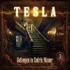 Raute Media Hörspiele·Krimis & Thriller-Tesla - Gefangen in Cedric Manor,1 Audio-CD