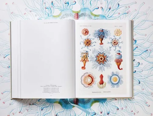 Taschen GmbH Künstler:Innen Im Fokus*The Art and Science of Ernst Haeckel