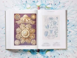 Taschen GmbH Künstler:Innen Im Fokus*The Art and Science of Ernst Haeckel