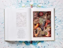 Taschen GmbH Künstler:Innen Im Fokus*The Art and Science of Ernst Haeckel