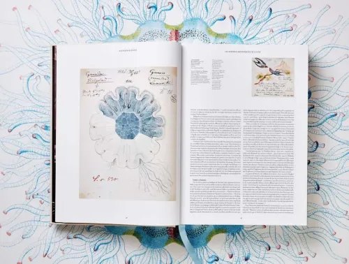 Taschen GmbH Künstler:Innen Im Fokus*The Art and Science of Ernst Haeckel