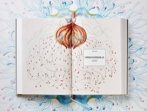 Taschen GmbH Künstler:Innen Im Fokus*The Art and Science of Ernst Haeckel
