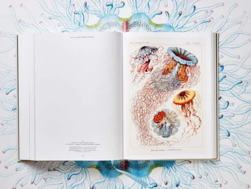 Taschen GmbH Künstler:Innen Im Fokus*The Art and Science of Ernst Haeckel