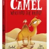 Hachette Children's Book Kinderbücher*The Camel Who Had The Hump Board Book